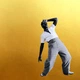 Музичний CD диск Leon Bridges - Gold-Diggers Sound фірмовий - зображення 1