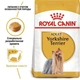 Сухой корм для собак Royal Canin Yorkshire Adult, 1,5кг+500г - изображение 2