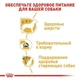 Сухой корм для собак Royal Canin Yorkshire Adult, 1,5кг+500г - изображение 4