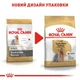 Сухой корм для собак Royal Canin Yorkshire Adult 8+, 500г - изображение 9
