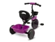 Детский трехколесный велосипед Caretero (Toyz) Loco Purple - изображение 2