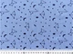 Ткань Коттон стрейчевый рубашечный созвездие, голубой, пог. м. (с1501, 1711113, д4 цв1) - изображение 3