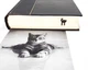 Закладка для книг «Кошеня». Art Republic - зображення 4