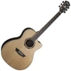 Електроакустична гітара Washburn AG70CE - зображення 1