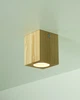 Світильник стельовий ITERNA CEILING, Світлий ясен (LW008) - изображение 3