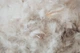 Подушка MirSon Raffaello 100 Пуховая мягкая 50x70 см (2200000007070) - изображение 9