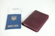 Обкладинка для документів вінтажна шкіра Berty 16-9211 Бордо - зображення 2