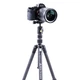 Штатив Vanguard Vesta TB 204CB (Vesta TB 204CB) - зображення 7