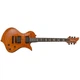 Электрогитара Fernandes Ravelle Deluxe RVLD06-HB - изображение 2