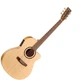 Акустическая гитара NORMAN 033126 Encore B20 CW Folk EQ - изображение 1