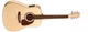 Акустическая гитара NORMAN 031344 Studio B50 EQ with TRIC - изображение 2
