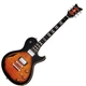 Електрогітара SCHECTER SOLO CUSTOM E/A DVS 2011 - зображення 5