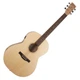 Акустична гітара із підключенням Simon&Patrick 039739 Trek Nat Folk Solid Spruce SG EQ - зображення 1