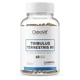 Трибулус OstroVit Tribulus Terrestris 90 60 Caps - зображення 1