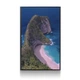 Внешний Жесткий диск Blueendless U25 500Gb USB 3.0 Пляж Nusa Penida Bali - изображение 2