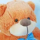 Мягкая игрушка Медведь Бо ТМ Золушка плюшевый коричневый 61 см NEW 225192310 - изображение 2
