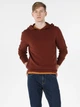 Худи мужское Colin's CL1056916-COR M Коричневое (8683197067944) - изображение 1