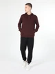 Худи мужское Colin's CL1055785-PLM S Бордовое (8683197323408) - изображение 3