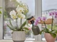 Опрыскиватель ручной Gardena с латунным соплом 0.75 л (11110-20.000.00) - изображение 4