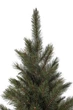 Сосна 60 см з інеєм, Forest Frosted - зображення 4