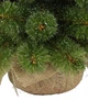 Сосна 90 см, Forest frosted - изображение 7