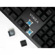 Клавіатура Vinga KBGM160 LED Outemu Blue USB Black (KBGM160 Black) - зображення 9