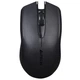 A4Tech G11-760N Wireless Black - зображення 1