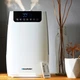 Увлажнитель и очиститель воздуха Blaupunkt AHS803 3в1 - изображение 6