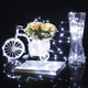 Гирлянда Springos 30 м 300 LED CL0309 Cold White - изображение 3