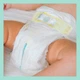 Pieluchy Pampers Premium Care Rozmiar 5 (11-16 kg) 136 szt. (8001090959690) - obraz 6