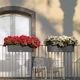 Вазон Lechuza Balconera Cottage 80 Графитово-черный (15619) - изображение 14