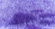 Килимок Jackson Textiles Big Paws violet 160х100 см (JT-021-1) - зображення 12