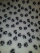 Килимок Jackson Textiles Small Paws white 160х100 см (JT-001-1) - зображення 3