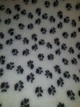 Килимок Jackson Textiles Small Paws white 160х100 см (JT-001-1) - зображення 7