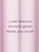 Парфумований спрей для тіла Victoria’s Secret Velvet Petals Fragrance Mist 250ml - изображение 2