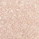 Рассыпчатый хайлайтер Sparkling Dust №06 2.5г нейтральный нюдовый холодный серебристый - изображение 2