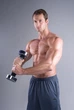 Спортивная виброгантеля Shake Weight с диском - изображение 3