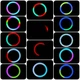 Разноцветная селфи-лампа Led кольцо Ring Light MJ20 RGB 20 см с держателем для смартфона - изображение 5