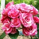 Саджанці Троянда бордюрна Pink Flesh Рожевий Florium (512512) - зображення 1