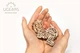 Механический 3D пазл UGEARS Фиджеты-Новогодняя магия. Набор из 4 шт. (70043) - зображення 2