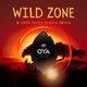 Ароматизатор K2 для авто Oya Дикая Зона (v903) (K20506) - изображение 3
