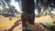 Ключ активации Steam | RUST - изображение 3