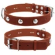 Ошейник "CoLLaR" одинарный с украшениями (ширина 35мм, длина 48-63см), коричневый - изображение 1