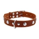 Ошейник "CoLLaR" одинарный с украшениями (ширина 35мм, длина 48-63см), коричневый - изображение 2