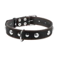 Ошейник "CoLLaR" одинарный с украшениями (ширина 35мм, длина 48-63см), черный - изображение 2