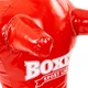 Манекен тренувальний для єдиноборств BOXER 1022-01 (1022-01_Червоний) - изображение 3