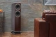 Напольная акустическая система Fyne Audio F502 Dark Oak - изображение 4