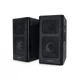 Акустическая система REAL-EL S-250 Black - изображение 1