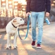 Портативная поилка, походная бутылка для собак с фильтром ELS Pet на 300 мл (Синий) - изображение 7
