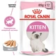 Влажный корм Royal Canin KITTEN LOAF (Паштет) для котят 85 г (9003579003848) - изображение 2